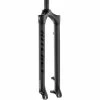 Ritchey WCS Carbon 29" Disc Fork